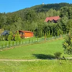 Platynowy *