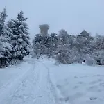 아파트 Platynowy