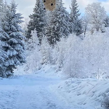 Apartmán Platynowy Sklářská Poruba