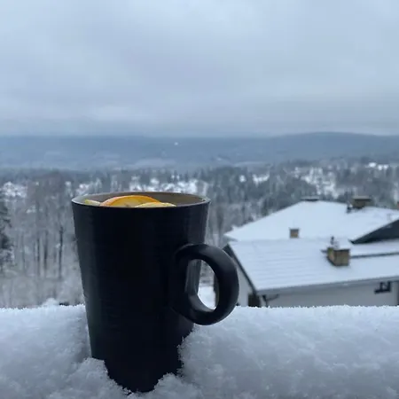 Appartamento Platynowy *