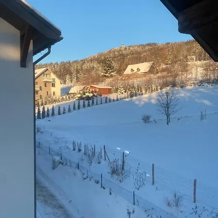 Platynowy