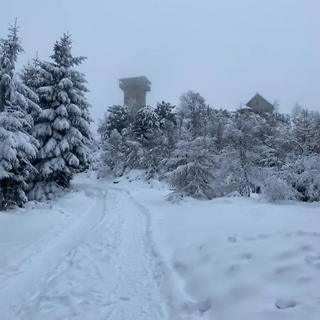 Appartamento Platynowy