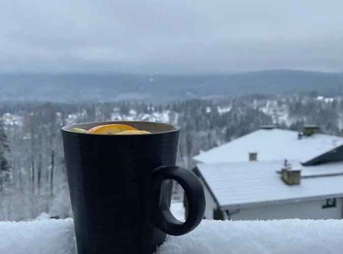 Apartment Platynowy *